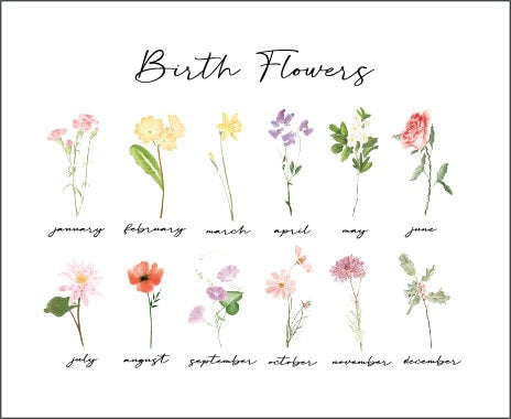 Birth Month Flowers