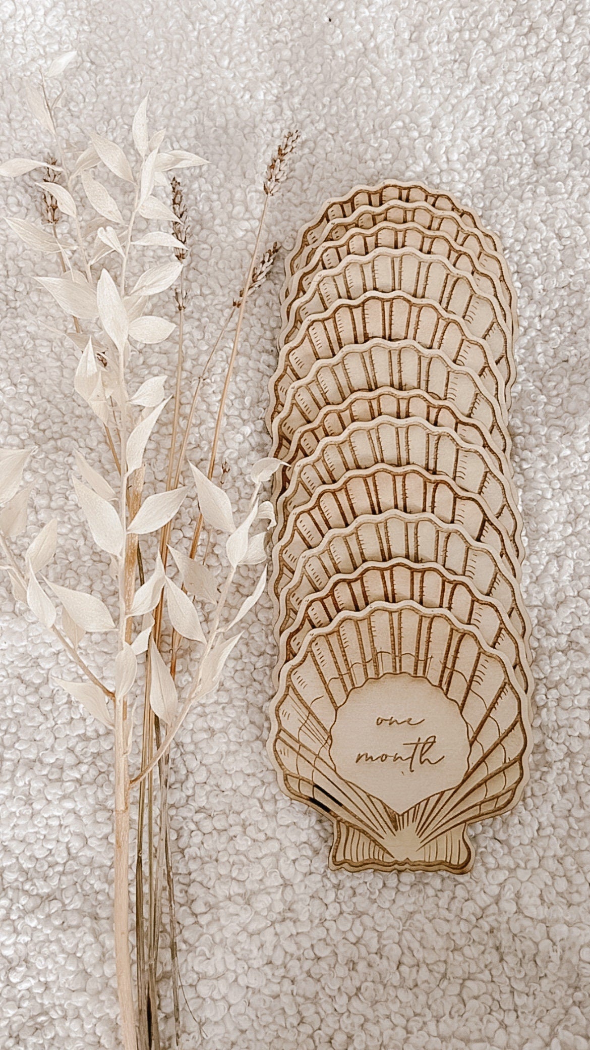 Sea Shell Collection // LASER ENGRAVE Birth Month, Birth Announcement, Baby Plaque