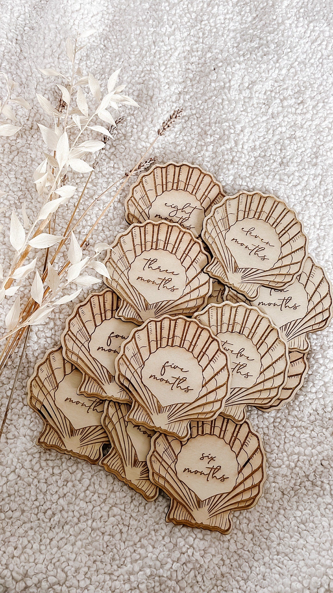 Sea Shell Collection // LASER ENGRAVE Birth Month, Birth Announcement, Baby Plaque