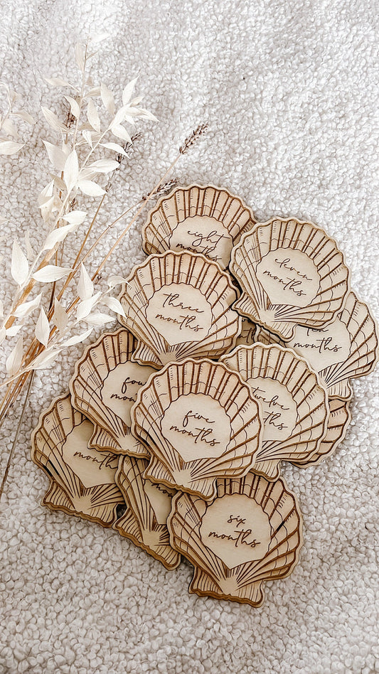 Sea Shell Collection // LASER ENGRAVE Birth Month, Birth Announcement, Baby Plaque